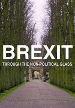 Watch Brexit Through the Non-Political Glass 5movies