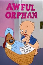 Watch Awful Orphan (Short 1949) 5movies