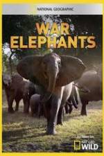 Watch War Elephants 5movies