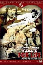 Watch Karate for Life 5movies