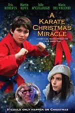 Watch A Karate Christmas Miracle 5movies