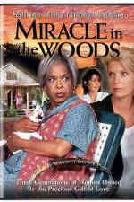 Watch Miracle in the Woods 5movies