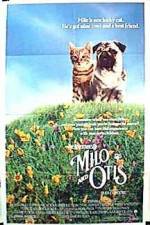 Watch Milo and Otis 5movies