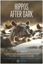 Watch Hippos After Dark 5movies