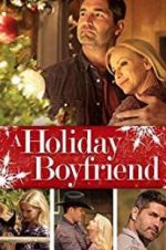 Watch A Holiday Boyfriend 5movies