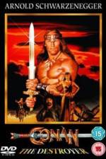 Watch Conan the Destroyer 5movies