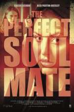 Watch The Perfect Soulmate 5movies