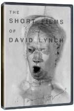 Watch The Short Films of David Lynch 5movies