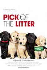 Watch Pick of the Litter 5movies