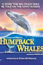 Watch Humpback Whales 5movies