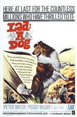 Watch Lad: A Dog 5movies