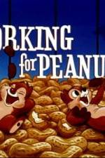 Watch Working For Peanuts 5movies