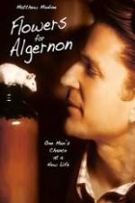 Watch Flowers for Algernon 5movies