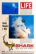 Watch Shark 5movies