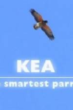 Watch Kea - The Smartest Parrot 5movies