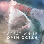 Watch Great White Open Ocean 5movies