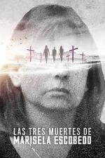 Watch The Three Deaths of Marisela Escobedo 5movies
