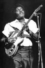 Watch Albert Collins in Concert 5movies