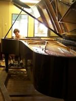 Watch Note by Note: The Making of Steinway L1037 5movies