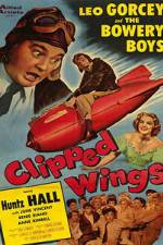 Watch Clipped Wings 5movies