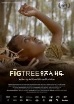 Watch Fig Tree 5movies