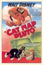Watch Cat Nap Pluto 5movies