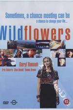 Watch Wildflowers 5movies