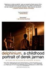 Watch Delphinium: A Childhood Portrait of Derek Jarman 5movies