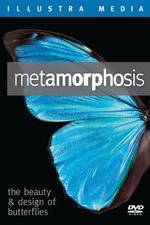 Watch Metamorphosis: The Beauty and Design of Butterflies 5movies