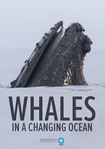 Watch Whales in a Changing Ocean (Short 2021) 5movies