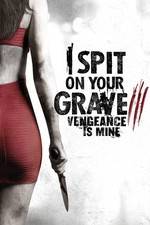 Watch I Spit on Your Grave 3 5movies