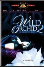 Watch Wild Orchid II Two Shades of Blue 5movies