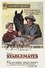 Watch Stablemates 5movies