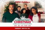 Watch A Chestnut Family Christmas 5movies
