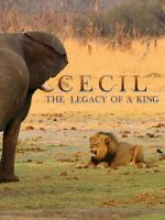 Watch Cecil: The Legacy of a King 5movies