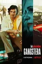 Watch How I Fell in Love with a Gangster 5movies