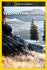 Watch National Geographic Yellowstone Winter 5movies