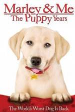 Watch Marley and Me The Puppy Years 5movies