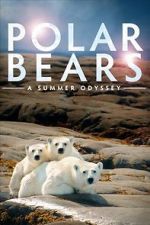 Watch Polar Bears: A Summer Odyssey 5movies