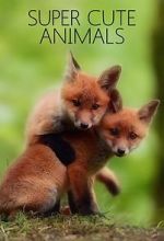 Watch Super Cute Animals 5movies