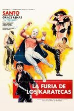 Watch The Fury of the Karate Experts 5movies