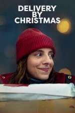 Watch Delivery by Christmas 5movies