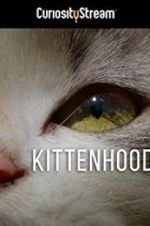 Watch Kittenhood 5movies