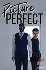 Watch Picture Perfect 5movies