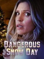 Watch Dangerous Snow Day 5movies