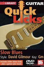 Watch Lick Library Quick Licks David Gilmour 5movies