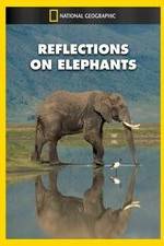 Watch Reflections on Elephants 5movies