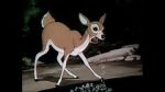 Watch Wacky Wildlife (Short 1940) 5movies