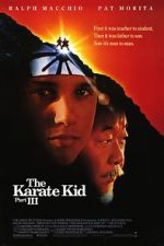 Watch The Karate Kid Part III 5movies