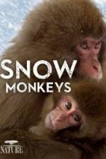 Watch Nature: Snow Monkeys 5movies